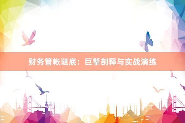 财务管帐谜底：巨擘剖释与实战演练