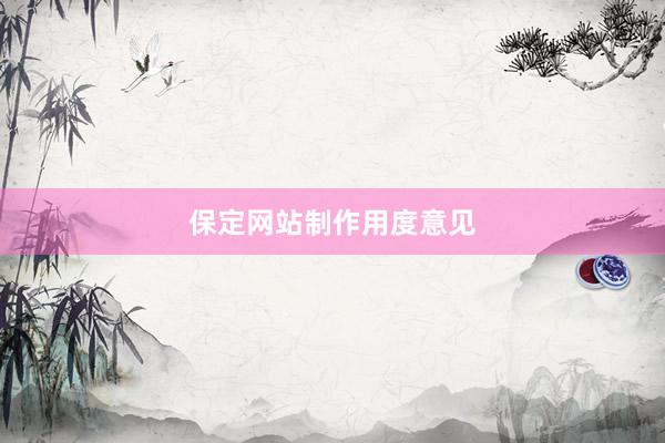 保定网站制作用度意见